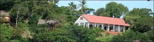 Bungalows - Dauphin Bleu Ankify