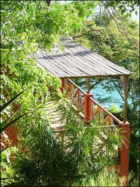 Bungalows - Dauphin Bleu Ankify