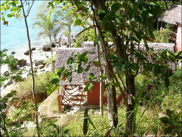 Bungalows - Dauphin Bleu Ankify